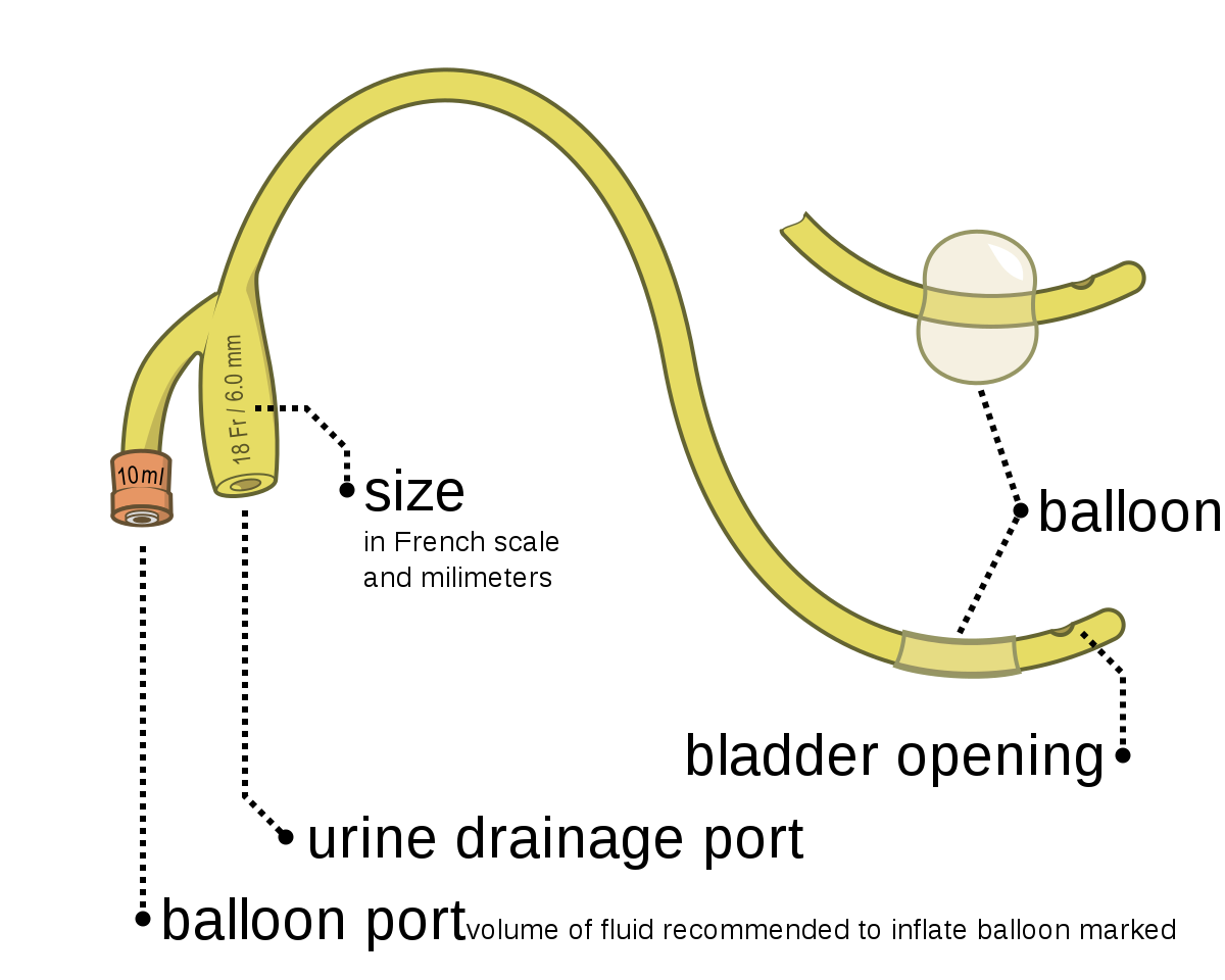 foley-catheter foley-catheter