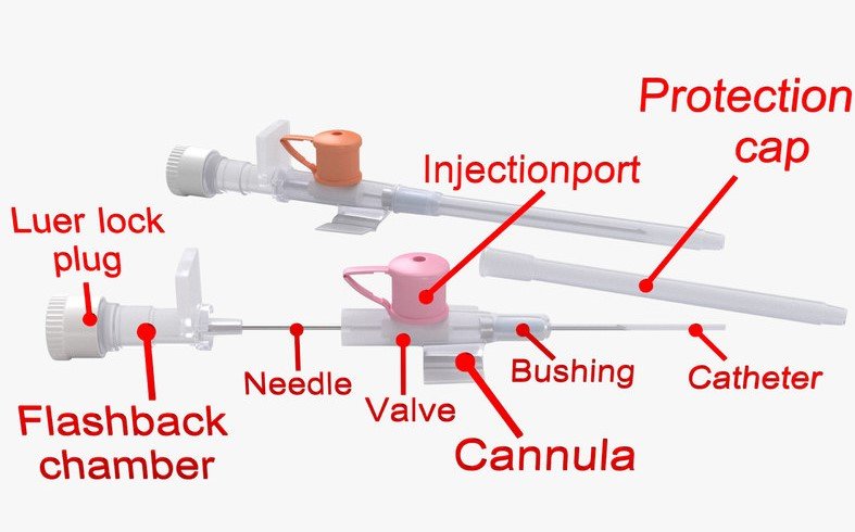peripheral-catheter-insertion-02 peripheral-catheter-insertion-02